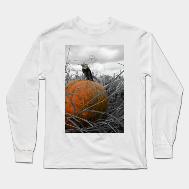 Pumpkin Patch Long Sleeve T-Shirt by searchlight